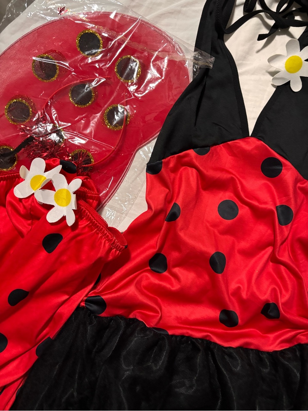 Adult Ladybug Costume